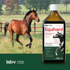 Lab-v Equihard – Comprehensive formula for healthy joints in horses and ponies 2x500 ml