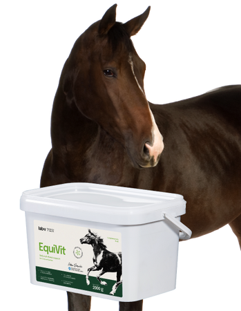 Lab-v EquiVit Dietary feed mix for horses and ponies supporting immunity, the skeletal and joint system, and proper metabolism 2000 g