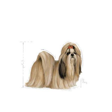 no pork ROYAL CANIN Shih Tzu Adult 12x85g