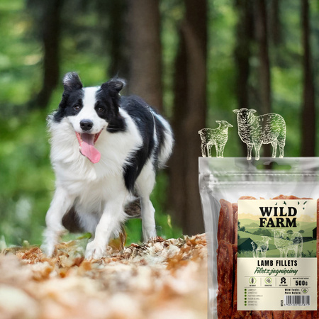 WILD FARM lamb fillet 500g dog treats