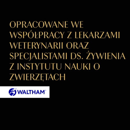 SHEBA Finesse tray 85 g – complete wet food for adult cats, with chicken, in pâté