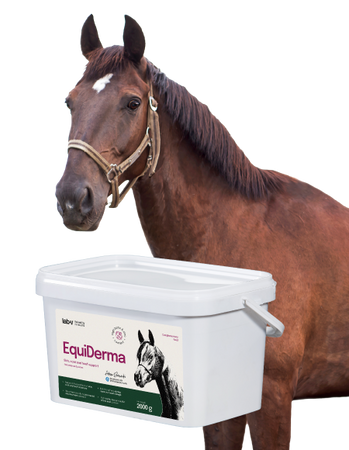 Lab-v EquiDerma Complementary feed mixture for horses and ponies to support the condition of skin, coat, and hooves 2000g