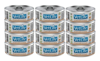 no pork Farmina Vet Life Feline Convalescence 12x85g