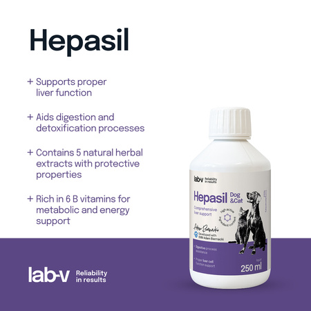 Lab-v Hepasil Dog & Cat preparation for improving liver function in dogs and cats 250 ml