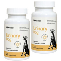 Lab-v Urinary Dog – Support for urinary tract infections in dogs 2x90 capsules