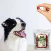 WILD FARM lamb rolls 500g dog treats