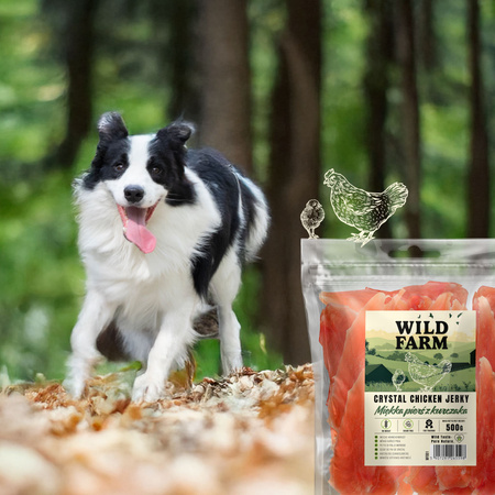WILD FARM Soft chicken breast 500g dog treats