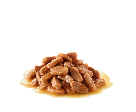 ROYAL CANIN Sterilized in Sauce 12x85g