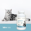Lab-v Synbiotic Vet – Supports digestive health and intestinal microflora in dogs and cats 90 capsules