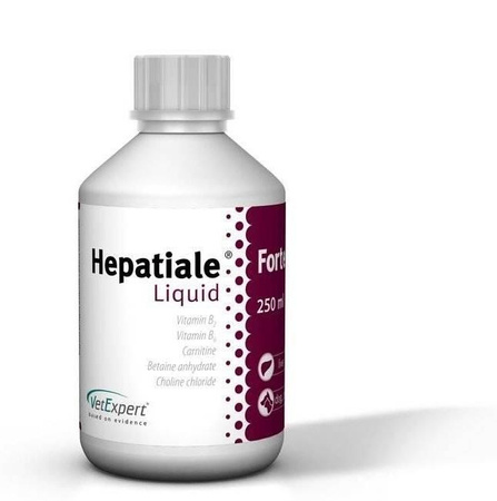 VETEXPERT Hepatiale Forte Liquid 2x250ml