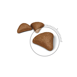 ROYAL CANIN Hairball Care 400g