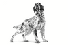 ROYAL CANIN Gastrointestinal High Fibre 14kg