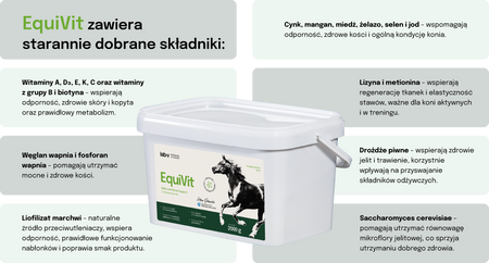 Lab-v EquiVit Dietary feed mix for horses and ponies supporting immunity, the skeletal and joint system, and proper metabolism 2000 g