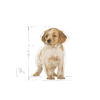 ROYAL CANIN Medium Puppy 15kg