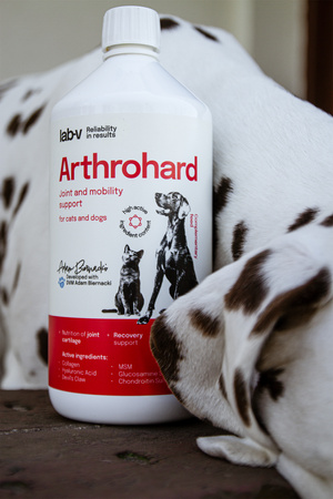 LAB-V Arthrohard 3x1000ml Joint support supplement for dogs and cats