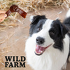 WILD FARM Duck Knots 500g dog treats