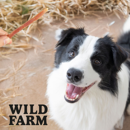 WILD FARM Soft duck strips 500g dog treats