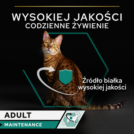 PRO PLAN Adult Wet Chicken Pâté Wet cat food 85g