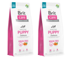 BRIT CARE Dog Grain-free Puppy Salmon 2x12kg