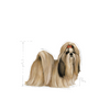 no pork ROYAL CANIN Shih Tzu Adult 12x85g