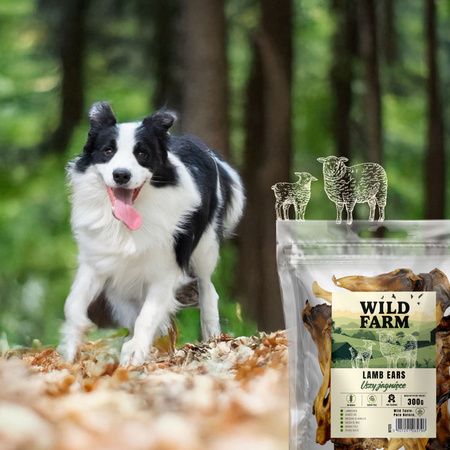 WILD FARM lamb ears 300g dog treats