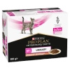 no pork PURINA Pro Plan Veterinary Diets UR Urinary Cat Salmon 10x85g