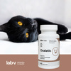 Lab-v Oxalatic – Support for cats with oxalate stone formation 45 capsules