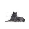 ROYAL CANIN Sterilized +7 1.5kg