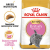 ROYAL CANIN British Shorthair Kitten 2kg dry food for kittens, up to 12 months, British Shorthair breed