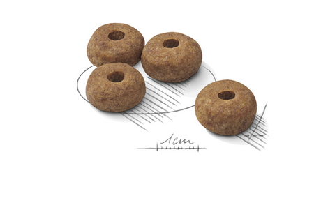 ROYAL CANIN CCN Medium Sterilized 3kg