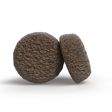 JOSERA Adult Salmon & Potato 12,5kg