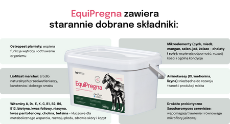 Lab-v EquiPregna Complementary feed mixture for pregnant and lactating mares, supporting pregnancy, fetal development, and milk production 2000g
