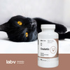 Lab-v Oxalatic – Support for cats with oxalate stone formation 90 capsules