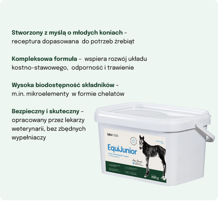 Lab-v EquiJunior Complementary feed mixture for foals, supporting growth, development, and proper nutrition of young horses and ponies 2000g