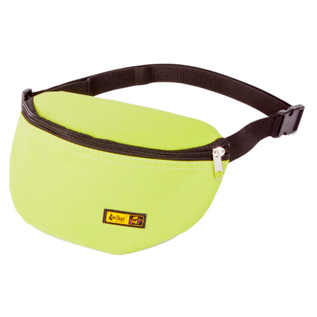 Dingo Green treat pouch