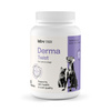  Lab-v Derma Twist – support for skin, coat and protective barrier for dogs and cats 2x60 twist-off capsules