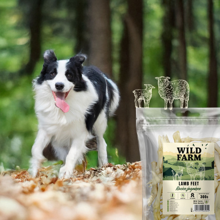 WILD FARM lamb hooves 2x300g dog treats