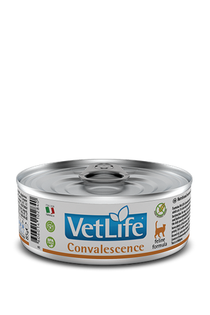 no pork Farmina Vet Life Feline Convalescence 6x85g