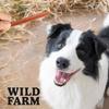 WILD FARM Rabbit Strips 500g dog treats