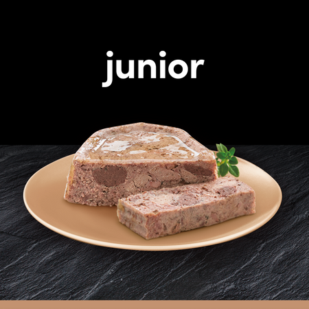 CESAR Junior tray 150 g – complete wet food for puppies, with turkey and veal, in pate