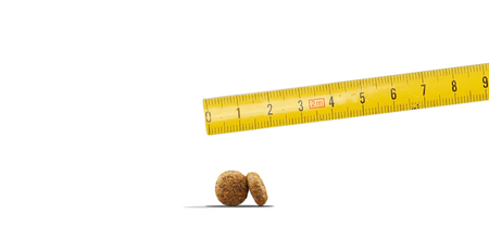 JOSERA Mini Salmon &amp; Chicken 10kg