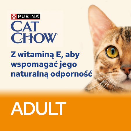 PURINA Cat Chow Adult Chicken and Zucchini Jelly Cat Food 85g