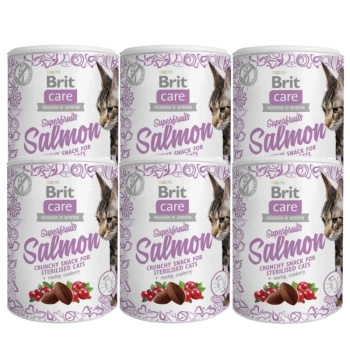 BRIT CARE Cat Snack Superfruits Salmon 6x100g