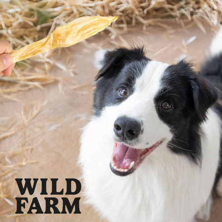 WILD FARM rabbit ears 300g dog treats