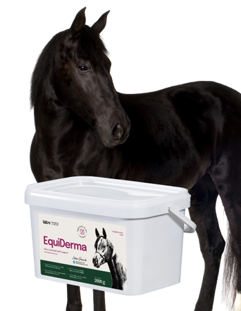 Lab-v EquiDerma Complementary feed mixture for horses and ponies to support the condition of skin, coat, and hooves 2000g