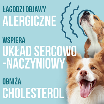 Lab-V 100% Salmon Oil for Dogs and Cats of All Ages 1000 ml Cold-pressed