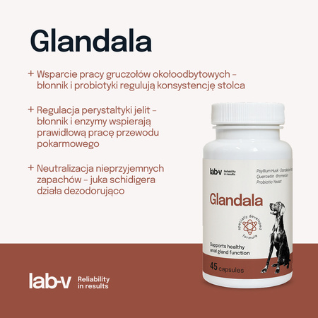 Lab-v Glandala - Supports the proper functioning of the anal glands and digestive tract in dogs 45 capsules