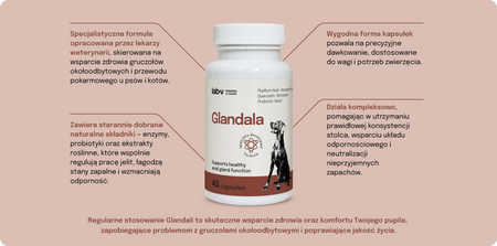 Lab-v Glandala - Supports the proper functioning of the anal glands and digestive tract in dogs 45 capsules