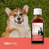 Lab-v 100% Salmon Oil for Dogs and Cats of All Ages 100ml Cold-pressed