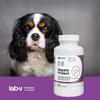 Lab-v Hepato Protect – Liver support for dogs and cats 2x90 capsules